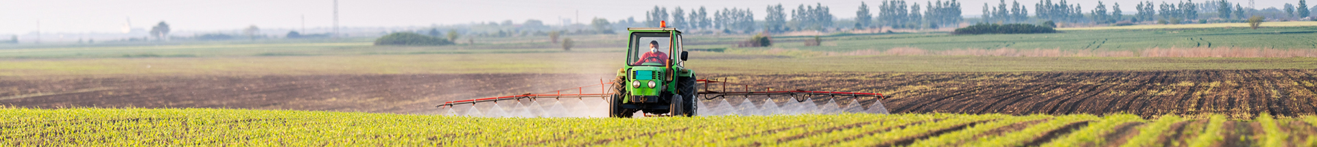 Landwirtschaft