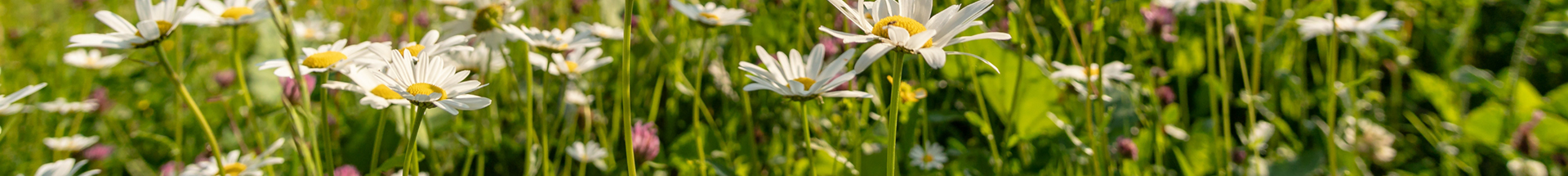 Naturschutz