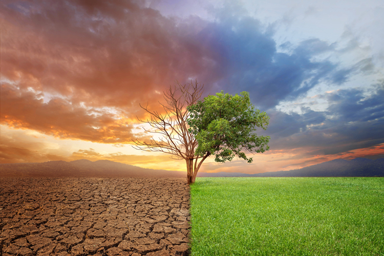 Klimawandel in Bayern