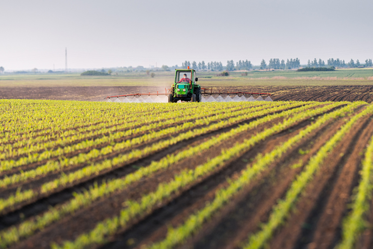 Landwirtschaft